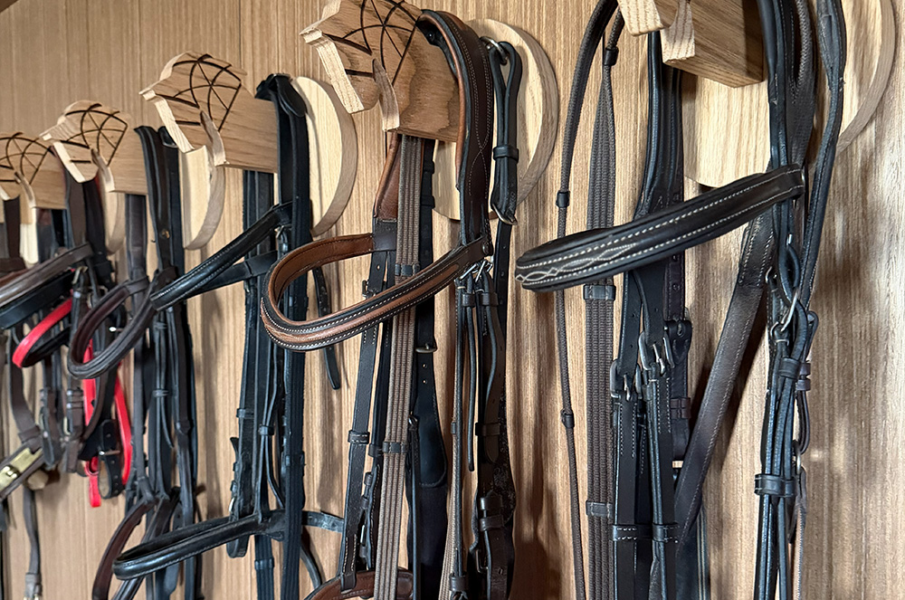 Bridle Holders