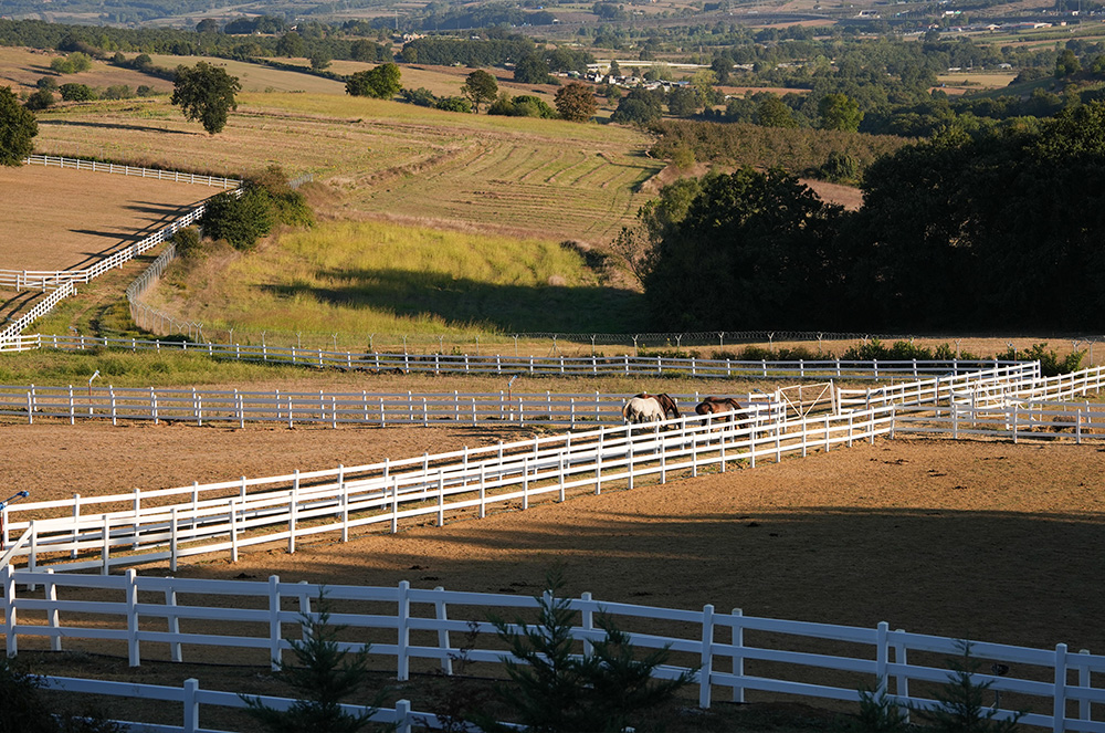 Paddocks